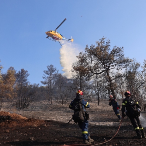 φωτιά, πυροσβεστες, δασος