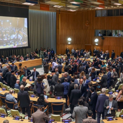 Συνέλευση του ΟΗΕ για τη λύση των δύο κρατών