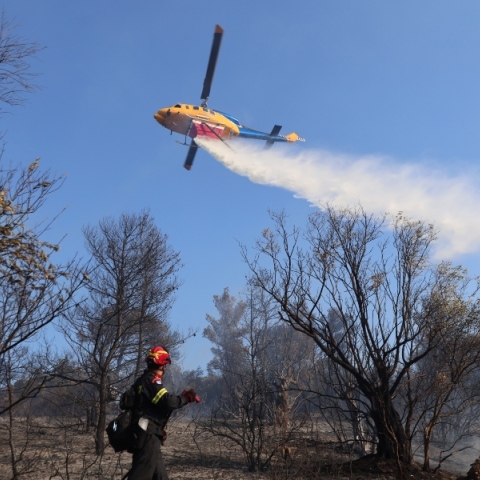 φωτιά, πυροσβεστες, δασος