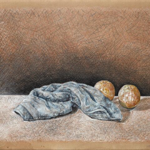 Γιάννης Ψυχοπαίδης, Νεκρή Φύση, παστέλ σε χαρτί, 49 x 64 cm