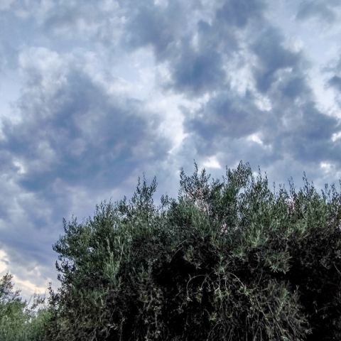 Καιρός, συννεφα