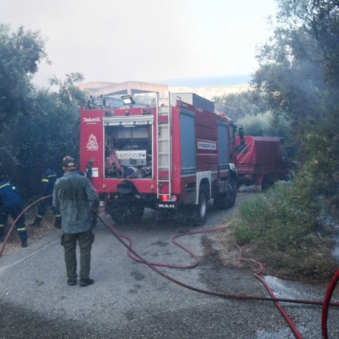 φωτιά, πυροσβεστες, δασος