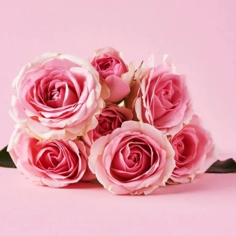 Εορτολόγιο, λουλουδια