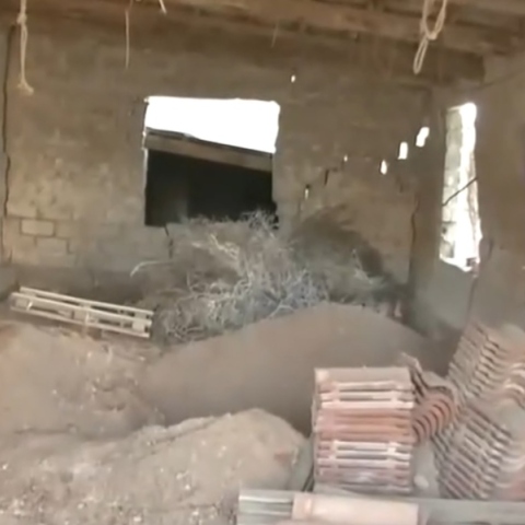 Βοιωτία: Γυναίκα έθαψε τη μητέρα της στην αυλή για να παίρνει τη σύνταξη