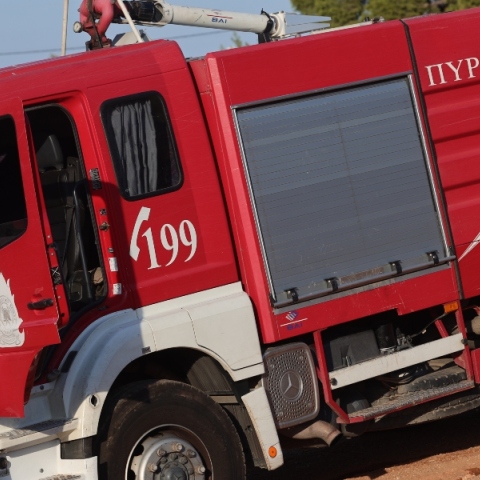 φωτιά, πυροσβεστες, δασος