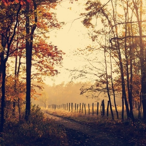 Εορτολόγιο