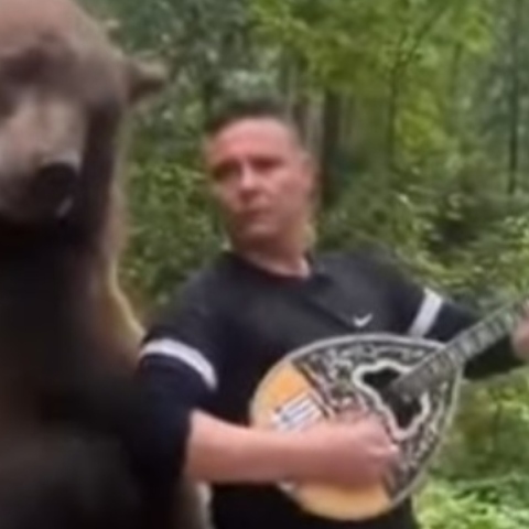 Έλληνας ομογενής παίζει μπουζούκι παρέα με μια αρκούδα