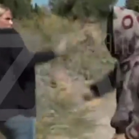 Βοιωτία: Επίθεση σε δημοσιογράφο από την 62χρονη