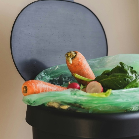 φαγητο στα σκουπιδια