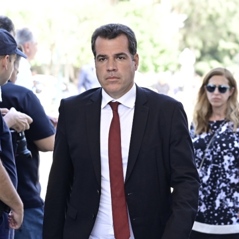 Ο υπουργός Μετανάστευσης και Ασύλου, Θάνος Πλεύρης