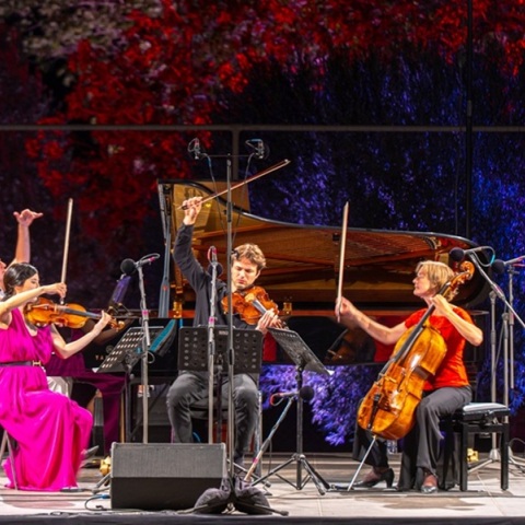 Διεθνές Φεστιβάλ Μουσικής Μολύβου 2025