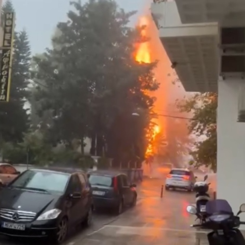 Ναύπακτος: Δέντρο άρπαξε φωτιά από κεραυνό