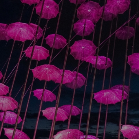 Θεσσαλονίκη: Ροζ φωταγωγήθηκαν οι «Ομπρέλες» 