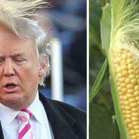 Η Πολιτική των μαλλιών: Γιατί το χτένισμα έχει σημασία στην εξουσία;