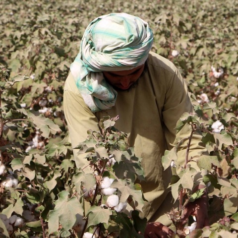 Αφγανιστάν: «Εσκεμμένα» περιορισμένη πρόσβαση μέσω κινητών σε Facebook, Instagram και Snapchat