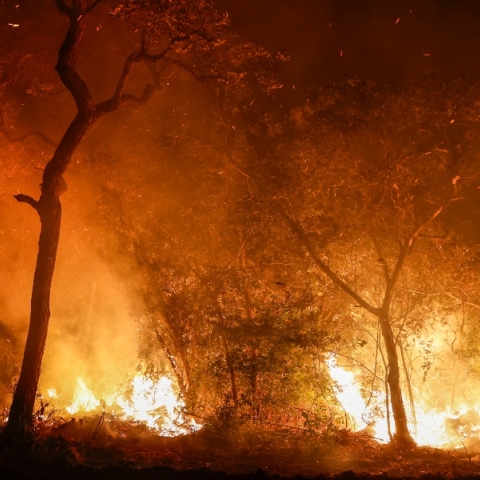 πυρκαγιές στον Αμαζόνιο