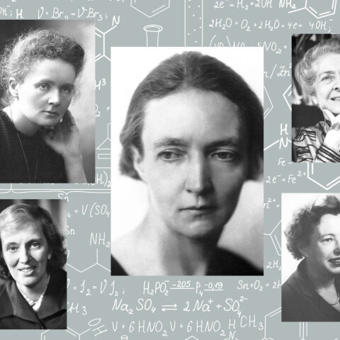Οι γυναίκες των Νόμπελ: 19 πορτρέτα που άλλαξαν την ιστορία της επιστήμης