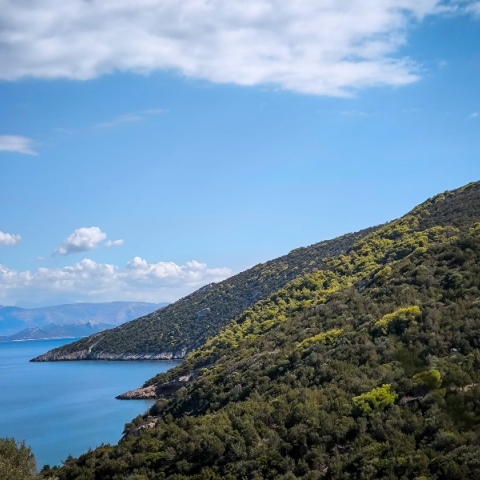 καιρός, θαλασσα, δεντρα, βουνο