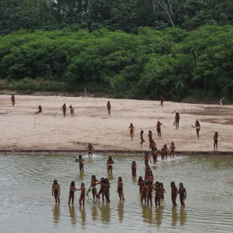 Αδελφοί στο δάσος: Ο αγώνας για την προστασία των Ματσκο Πίρο στον Αμαζόνιο