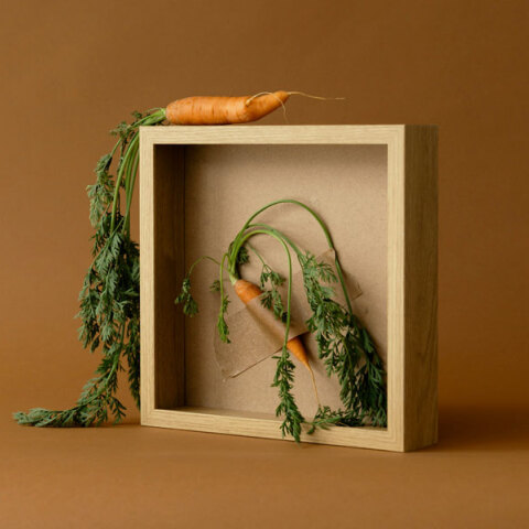 Ποιες τροφές κάνουν καλό στο μυαλό