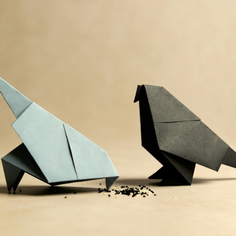 πουλια origami