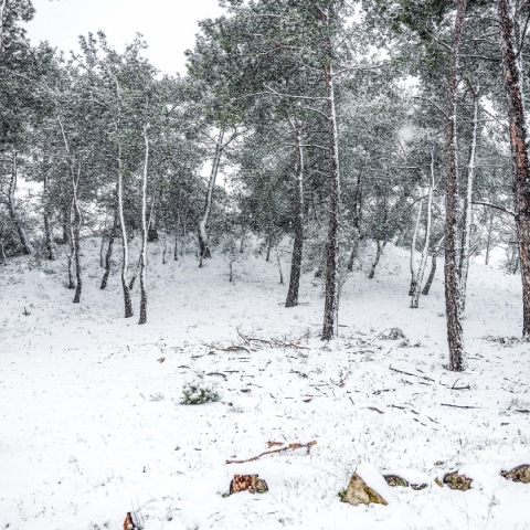Καιρός: Χιόνια