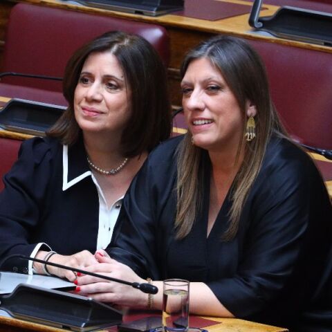 Πλεύση Ελευθερίας: Ορκίστηκε στη Βουλή η Έλλη Ρούσσου, στη θέση του Διαμαντή Καραναστάση