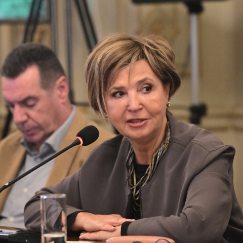 Η Όλγα Γεροβασίλη