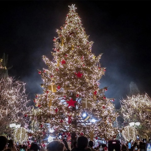 χριστουγεννιάτικο δέντρο