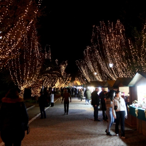 το Χριστουγεννιάτικο Χωριό στο Πεδίον του Άρεως