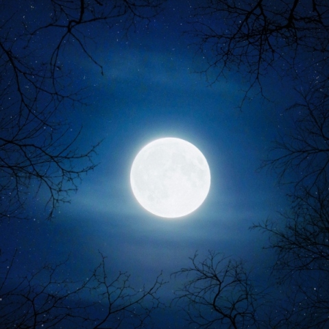 Πανσέληνος Δεκεμβρίου