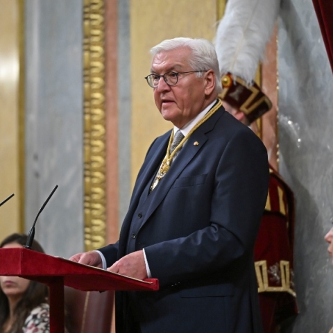 Ο Γερμανός ομοσπονδιακός πρόεδρος Φρανκ-Βάλτερ Σταϊνμάιερ 