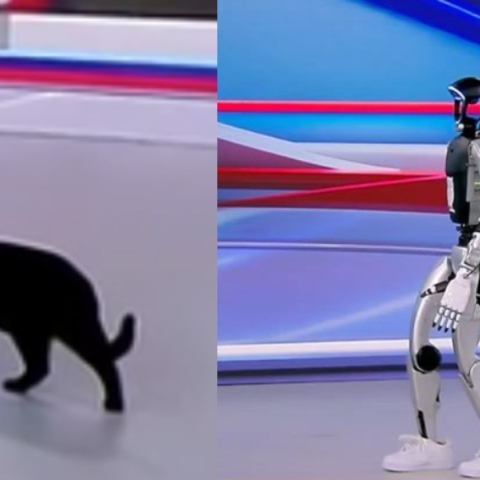Τα... είδε όλα ο γατούλης του ΣΚΑΪ με το ρομπότ «Σοφία» - Έτρεχε να κρυφτεί 
