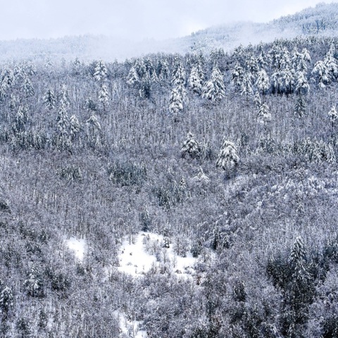Πρωτοχρονιά με επέλαση ψύχους - Ο καιρός μέχρι το τέλος του 2025