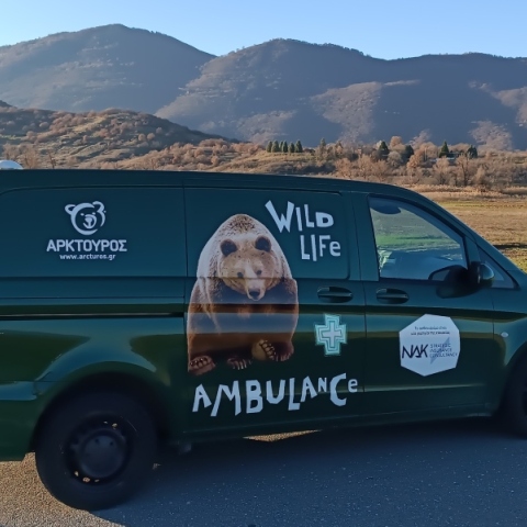 Αρκτούρος, ασθενοφόρο 