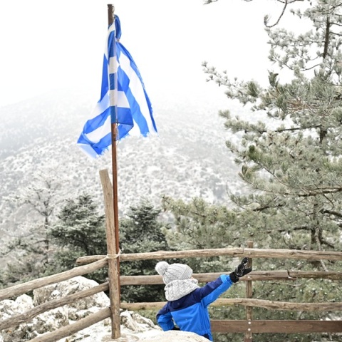 Στα «λευκά» ντύθηκε η Πάρνηθα - Εντυπωσιακές εικόνες από τα πρώτα χιόνια της χρονιάς