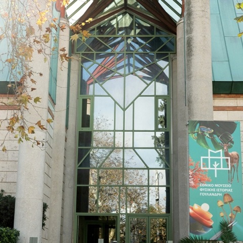 Εθνικό Μουσείο Φυσικής Ιστορίας Γουλανδρή: «Προστατεύοντας τη φύση σε έναν κόσμο που αλλάζει»