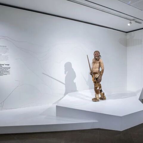 Visitors can see a life-like reconstruction of Ötzi created by Alfons & Adrie Kennis. South Tyrol Museum of Archaeology / Ochsenreiter