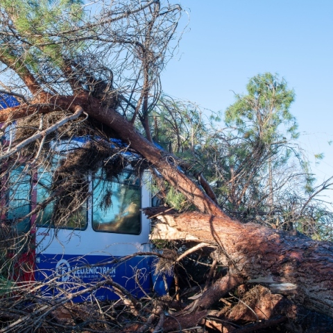 πτώση δέντρου σε αμαξοστοιχία