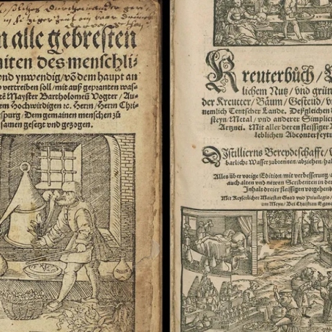 βιβλιο της Αναγέννησης