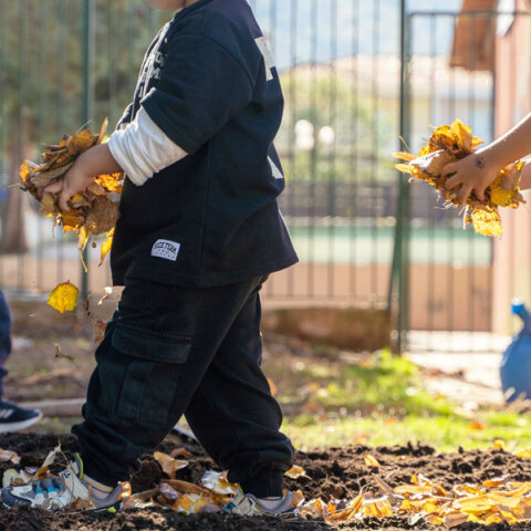 Carbon Farming Schools 2025 | ΔΕΗ - Open Farm