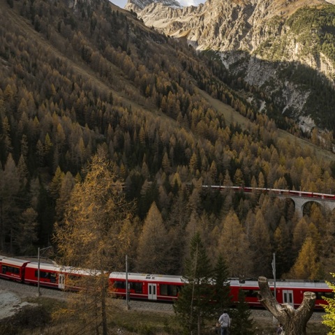 Ελβετία: Εκτροχιασμός τρένου λόγω πτώσης χιονοστιβάδας – Φόβοι για τραυματίες
