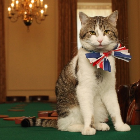 Έξι Βρετανοί πρωθυπουργοί, αμέτρητοι ηγέτες: Ο Λάρι έκλεισε 15 χρόνια στο Νο.10 της Ντάουνινγκ Στριτ