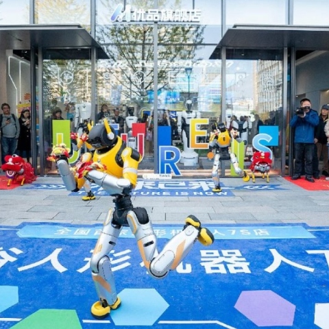 Κίνα, ρομποτ