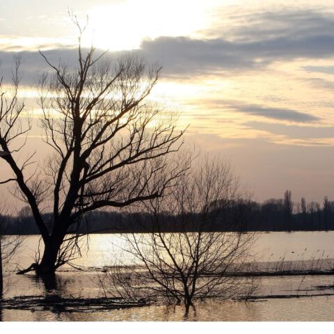 Πλημμύρα στον Έβρο