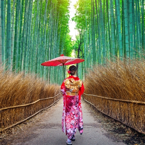 Συναισθήματα που δεν έχουν ελληνική λέξη - αλλά έχουν ιαπωνική