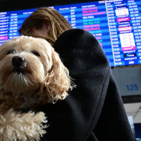Ανάφλεξη στη Μέση Ανατολή: Ποιες ελληνικές πτήσεις έχουν ακυρωθεί