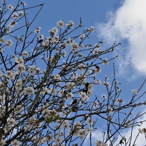 Καιρός αύριο: Υψηλές θερμοκρασίες με δυνατούς ανέμους στο Αιγαίο