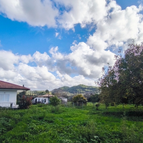 Καιρός: Ανοιξιάτικο το σκηνικό αύριο με τη θερμοκρασία στους 19 βαθμούς