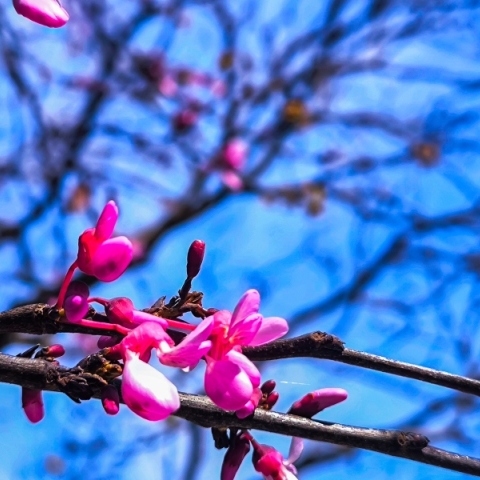 Καιρός αύριο